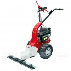 Бензиновая сенокосилка Eurosystems Minieffe 502 RM B&S 625EXi в Рязани