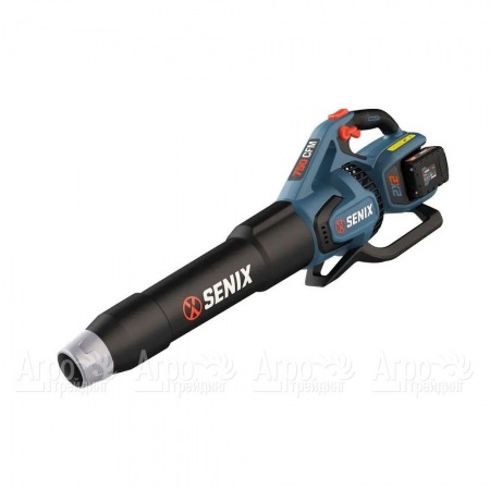 Воздуходувка аккумуляторная Senix BLAX2-M2-EU в Рязани