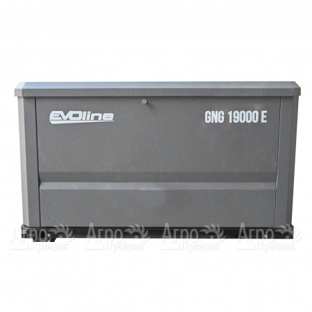 Газовый генератор EVOline GNG 19000 E 16 кВт  в Рязани