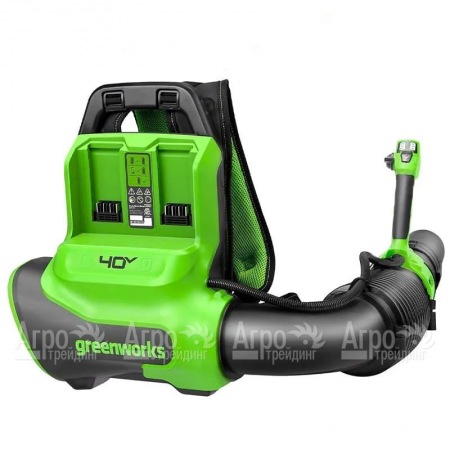 Воздуходувка аккумуляторная GreenWorks GD40BPG2  в Рязани