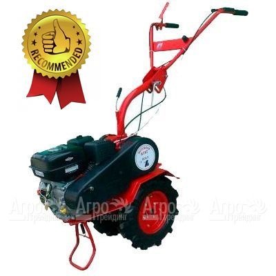 Мотоблок Агат БС-6.5 с двигателем Briggs&#38;Stratton RS 6.5 л.с. (фрезы в комплекте) в Рязани