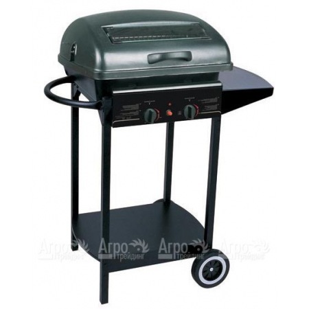 Гриль-барбекю газовый Green Glade RH-2210A в Рязани