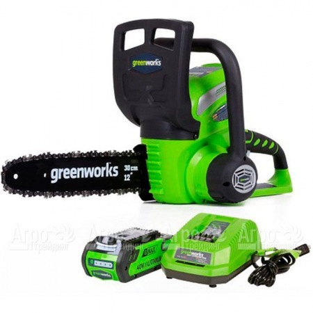 Аккумуляторная пила GreenWorks G40CS30II-12" 2 Ач в Рязани