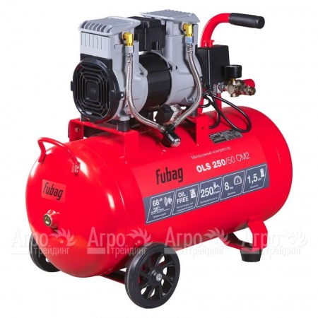 Компрессор безмасляный малошумный Fubag OLS 250/50 CM2 в Рязани