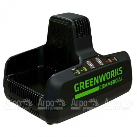 Быстрое зарядное устройство GreenWorks G82C2  в Рязани