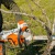 Аккумуляторная пила Stihl MSA 220 C-BQ-14" (без аккумулятора и зарядного устройства) в Рязани