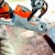 Аккумуляторная пила Stihl MSA 140 C-BQ-12 в Рязани