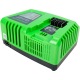 Быстрое зарядное устройство Greenworks G40UC5 в Рязани